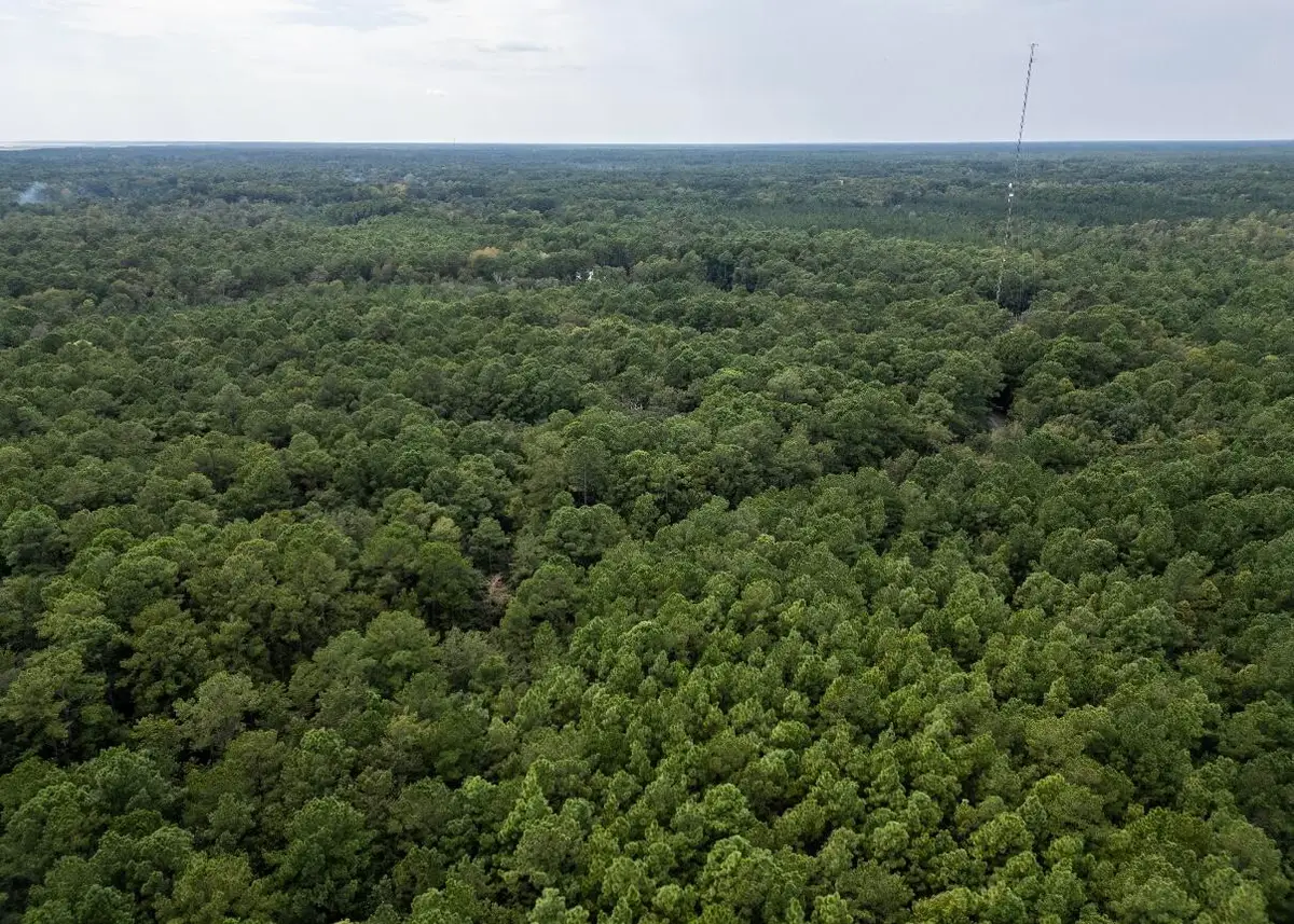 00 Society Road, McClellanville, SC 29458 - #1