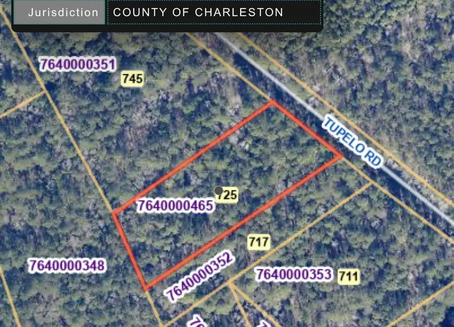 00 Society Road, McClellanville, SC 29458 - #3