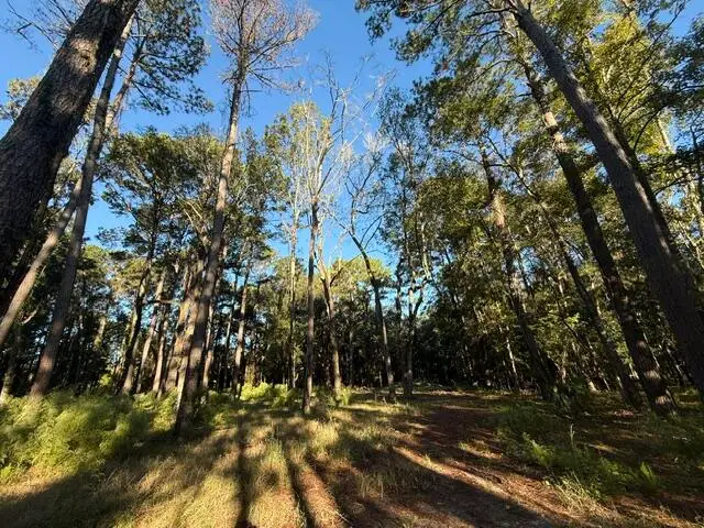 4274 River Road, Johns Island, SC 29455 - #1