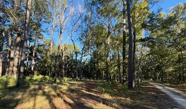 4274 River Road, Johns Island, SC 29455 - #2