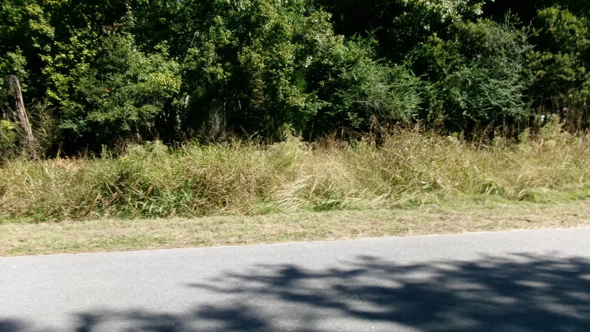 Lot 4 Manor Road, Hollywood, SC 29449 - #1