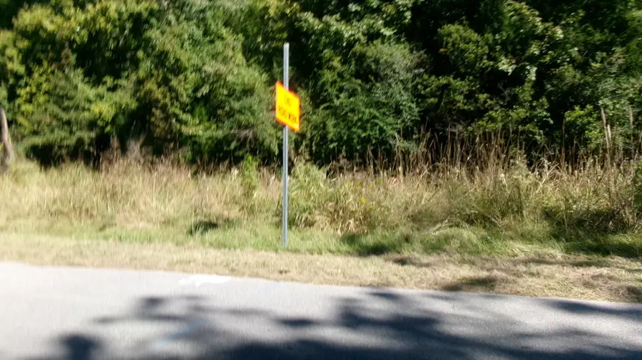 Lot 4 Manor Road, Hollywood, SC 29449 - #3