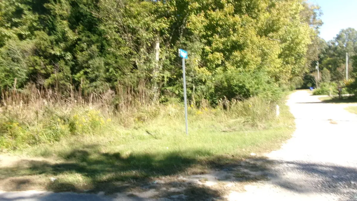 Lot 3 Manor Road, Hollywood, SC 29449 - #1