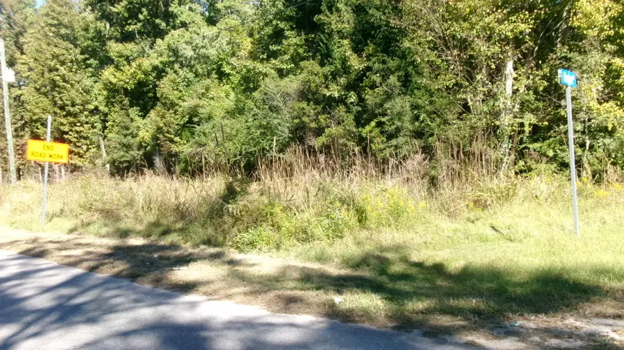 Lot 3 Manor Road, Hollywood, SC 29449 - #2