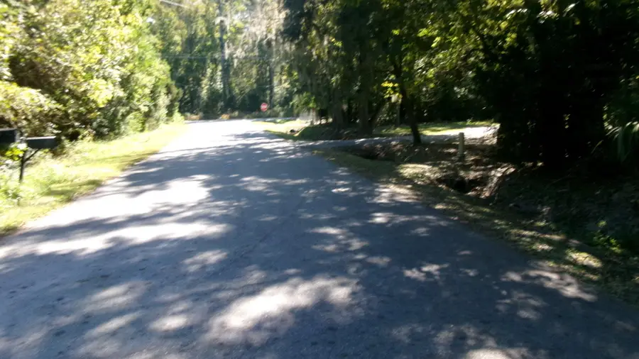 Lot 3 Manor Road, Hollywood, SC 29449 - #3