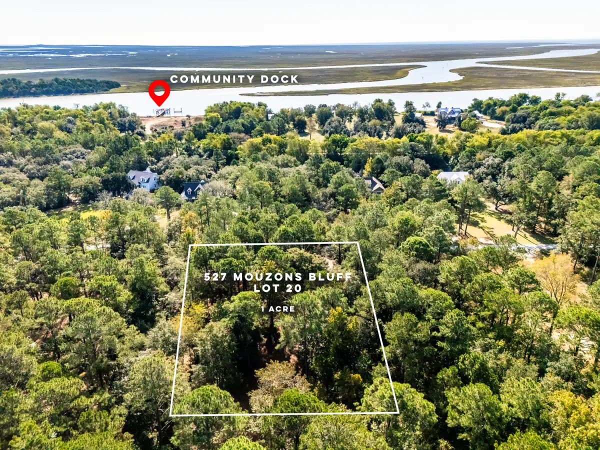 527 Mouzons Bluff, McClellanville, SC 29458 - #1