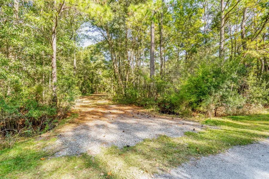 527 Mouzons Bluff, McClellanville, SC 29458 - #3