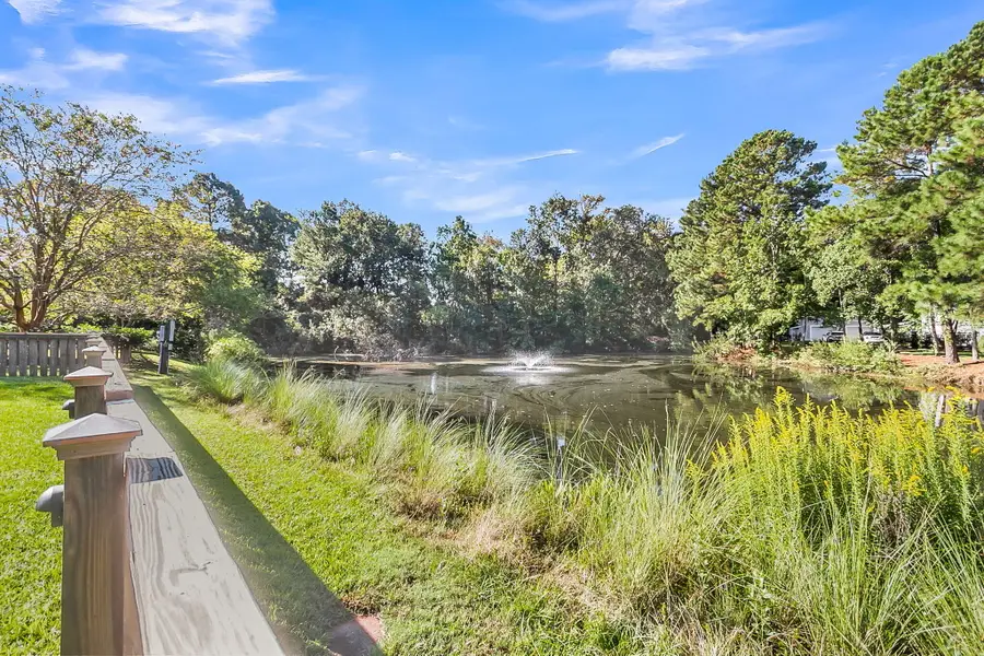 341 Jardinere Walk, Mount Pleasant, SC 29464 - #3