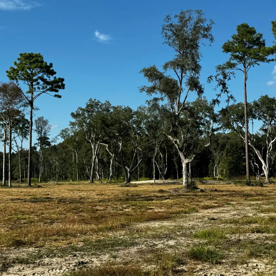 000 Morrison Canal Drive, McClellanville, SC 29458 - #2