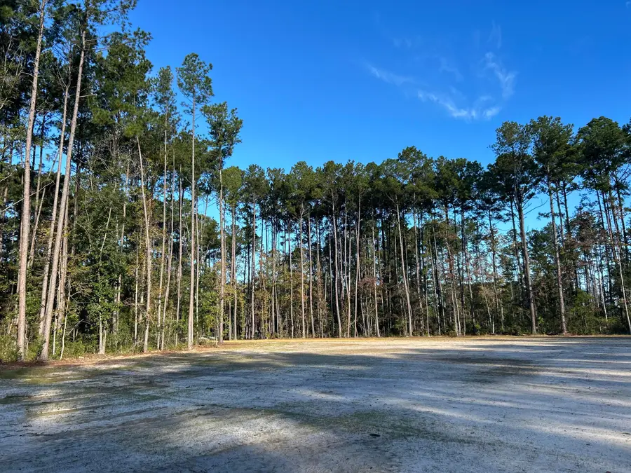 473 The Ranch Trail, Ridgeville, SC 29472 - #2