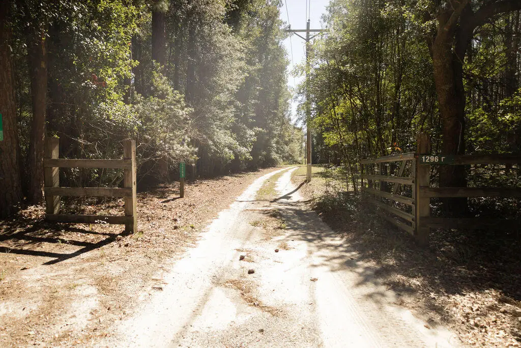 1298 Barracada Road, Walterboro, SC 29488 - #1