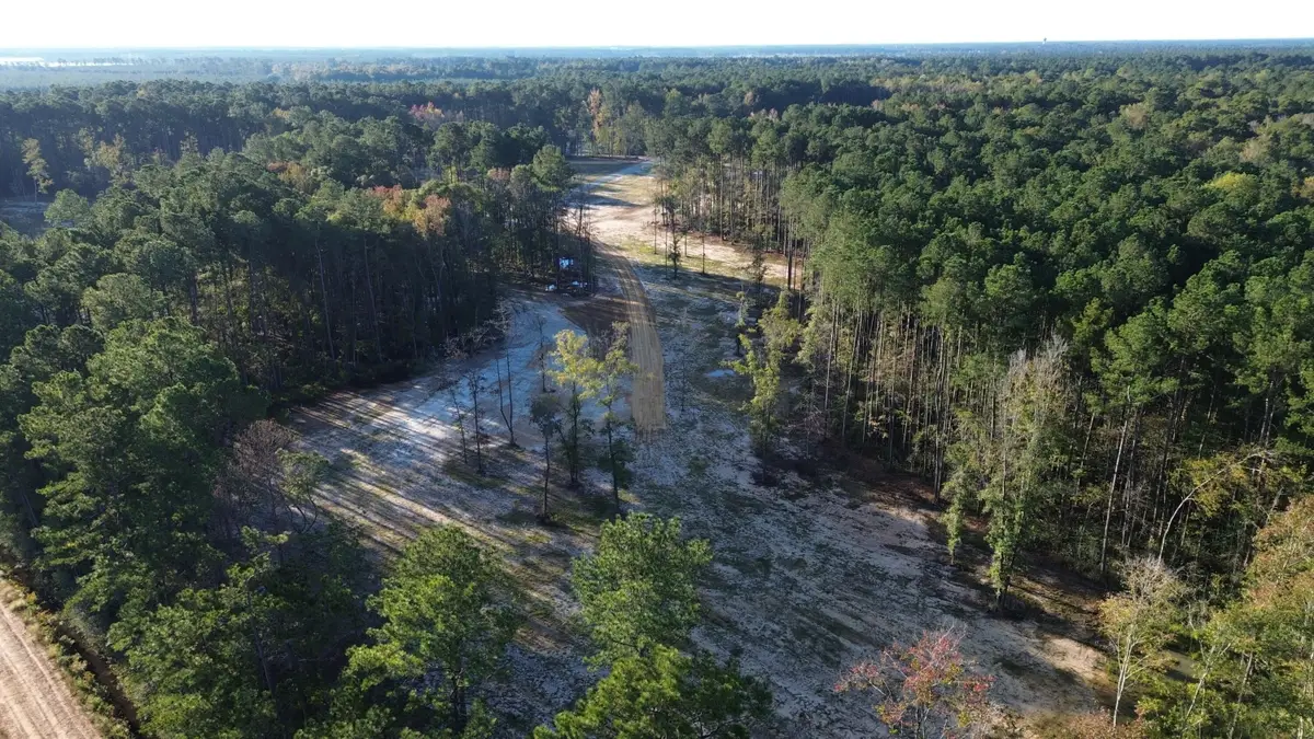 546 The Ranch Trail, Ridgeville, SC 29472 - #1