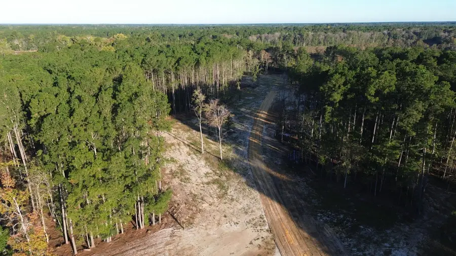 546 The Ranch Trail, Ridgeville, SC 29472 - #2