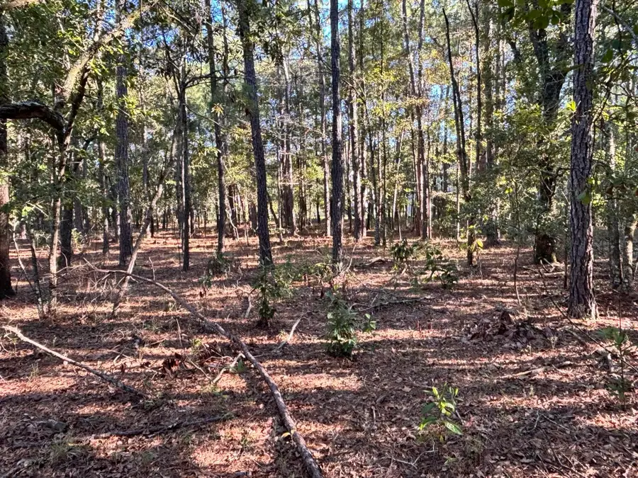0 Miss Kitty Lane, Moncks Corner, SC 29461 - #3