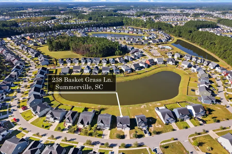 238 Basket Grass Lane, Summerville, SC 29486 - #2