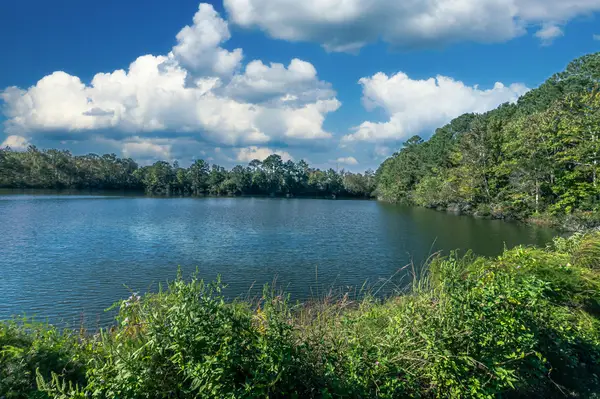 0 Vaughn Ed Kee Parkway, Mount Pleasant, SC 29466