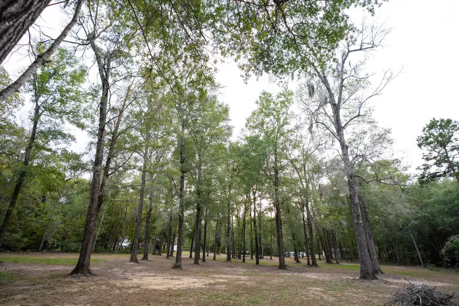 1285 Gala Circle, Summerton, SC 29148 - #3