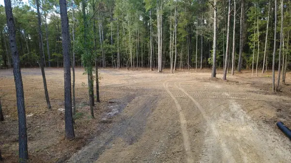 0 Gum Branch Road, Saint George, SC 29477