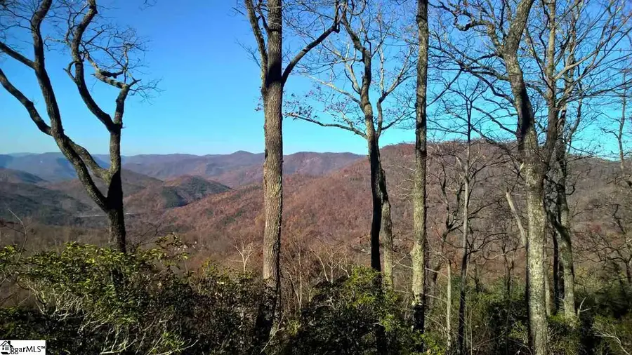 207 Night Crest Trail, Travelers Rest, SC 29690 - #3