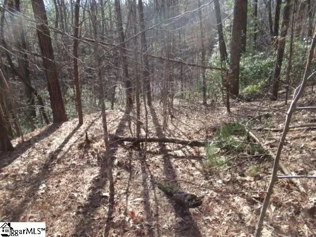 11 Matthews Creek Lane, Cleveland, SC 29635 - #3