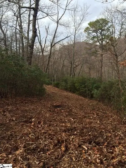 Panther Mountain Road #Lot 4, Travelers Rest, SC 29690 - #1