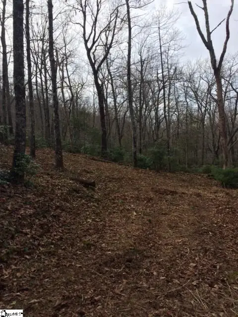 Panther Mountain Road #Lot 4, Travelers Rest, SC 29690 - #3