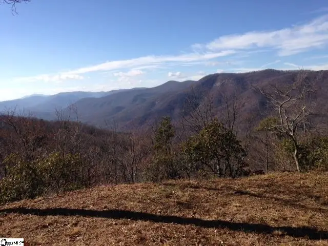 1506 Panther Park Trail, Travelers Rest, SC 29690 - #2