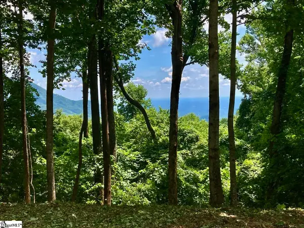 100 Deep Haven Lane, Landrum, SC 29356