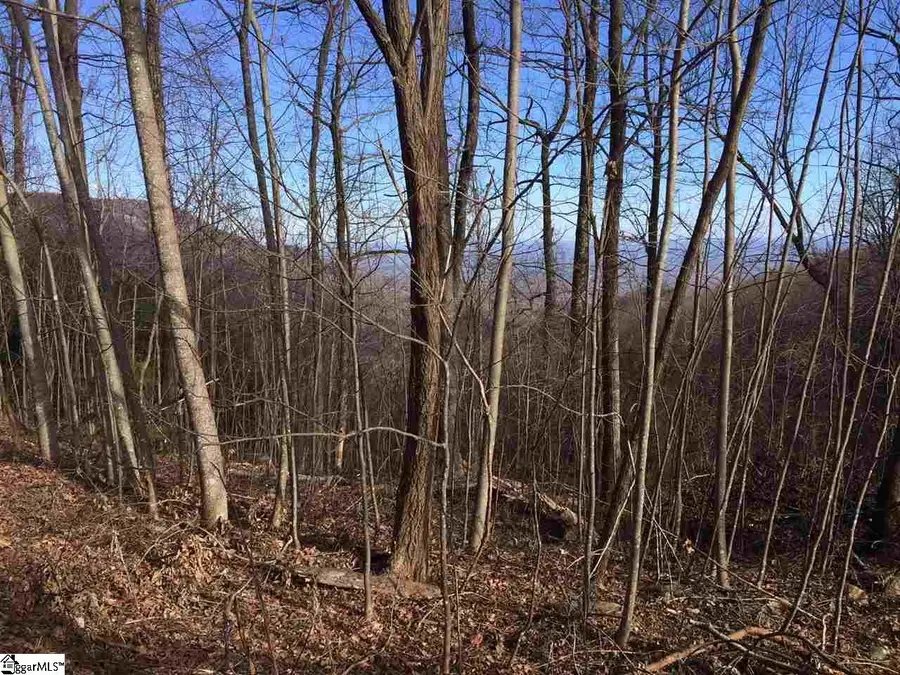 100 Deep Haven Lane, Landrum, SC 29356 - #2