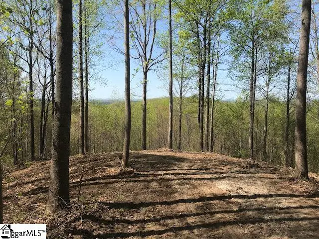 181 Crowne Hill Way, Marietta, SC 29661 - #2