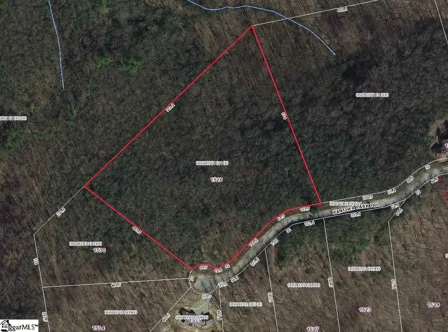 1526 Panther Park Trail, Travelers Rest, SC 29690 - #3