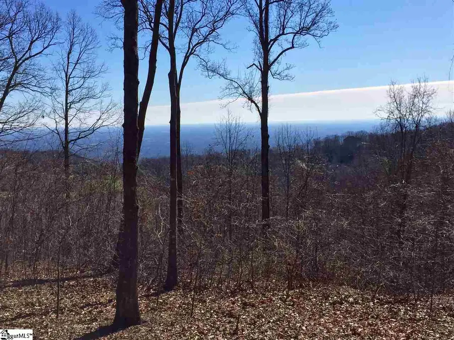 Indian Pipe Trail #Lot 125, Landrum, SC 29356 - #3