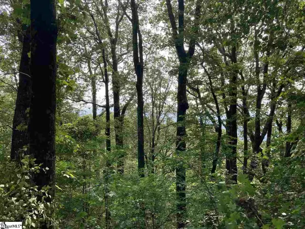 Boulder Lookout Drive #Lot 151, Landrum, SC 29356