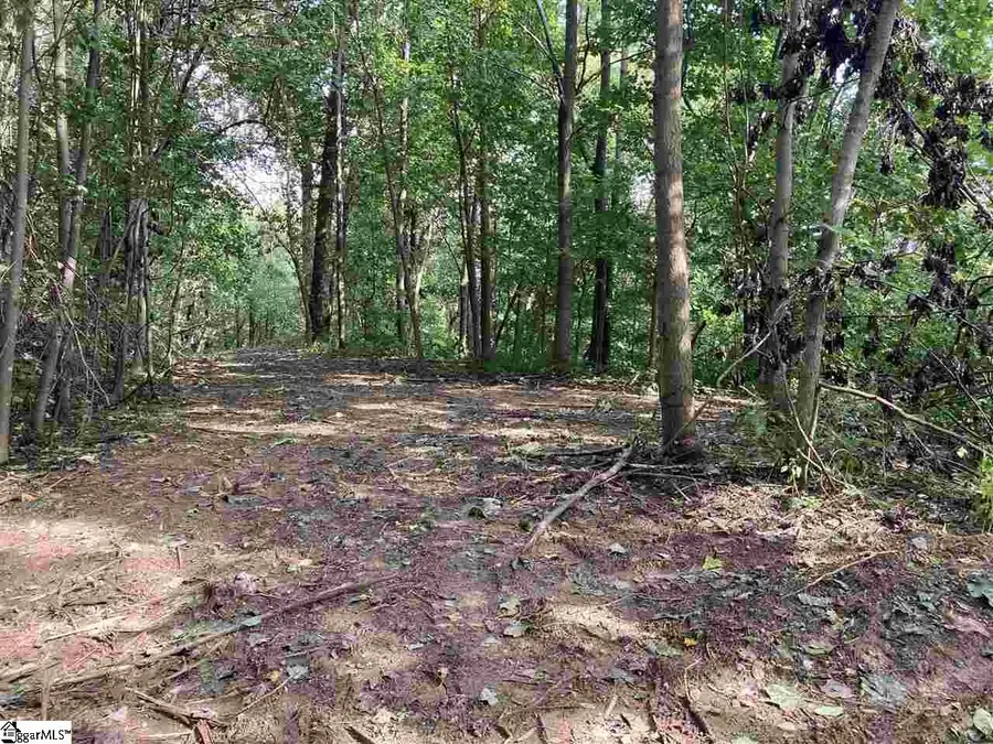 Boulder Lookout Drive #Lot 151, Landrum, SC 29356 - #2