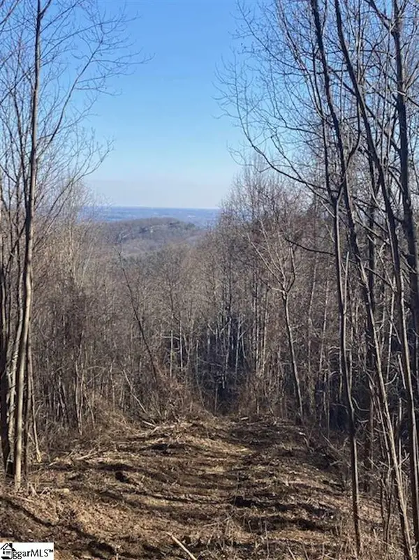 270 Foggy Cut Lane, Landrum, SC 29356