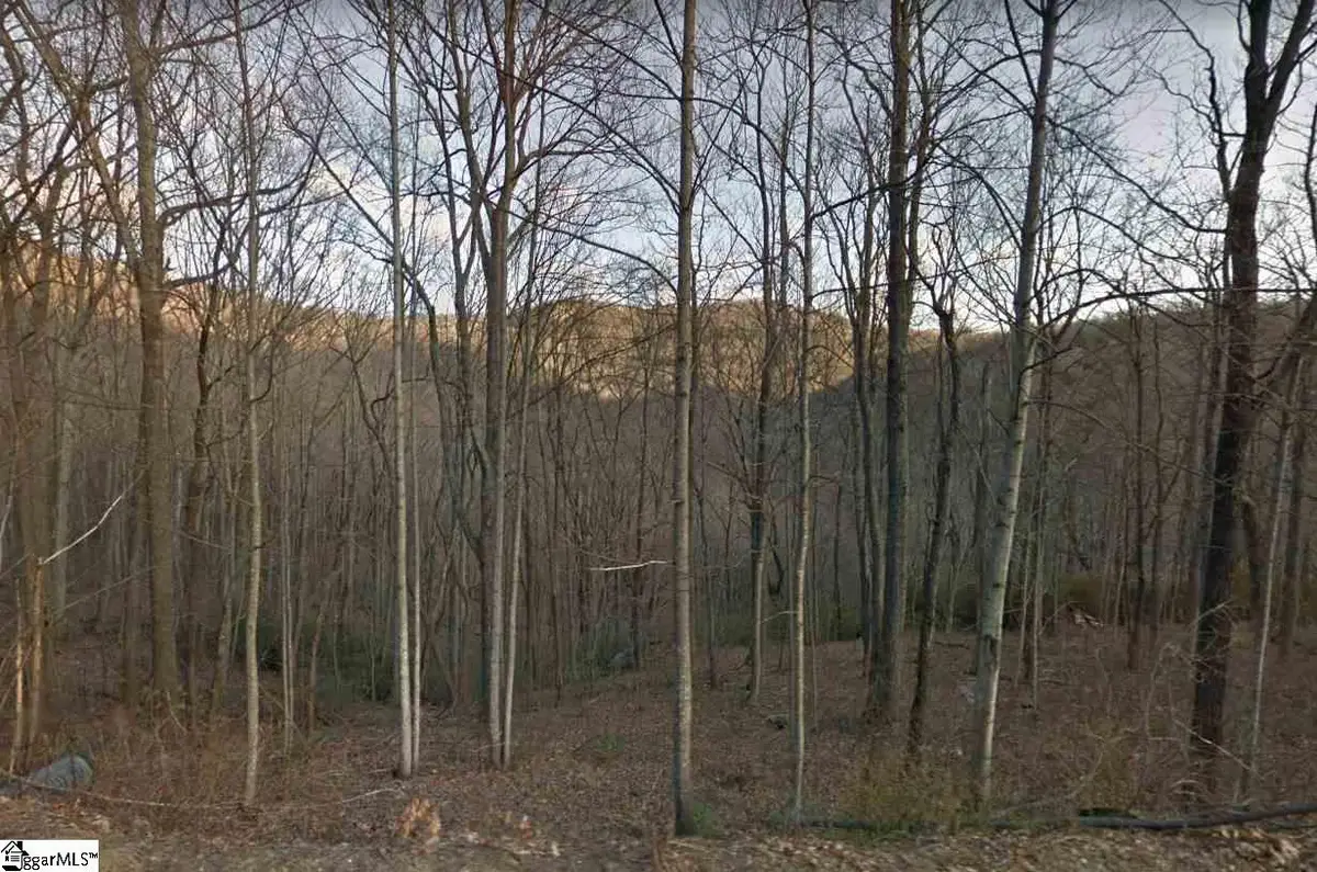 Outcrop Trail #Lot 113, Landrum, SC 29356 - #1