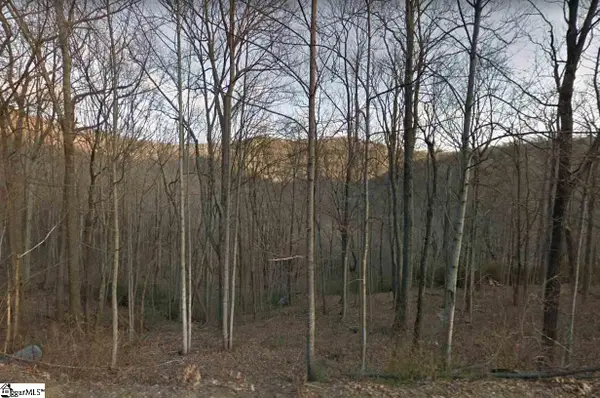 Outcrop Trail #Lot 113, Landrum, SC 29356