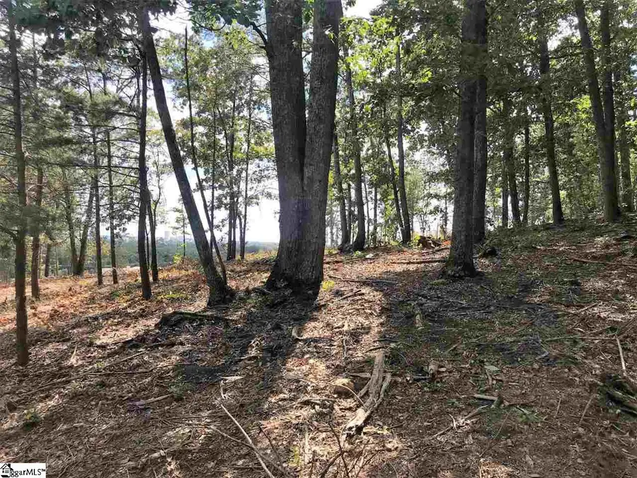 812 Montebello Drive #Lot 451, Greenville, SC 29609 - #3