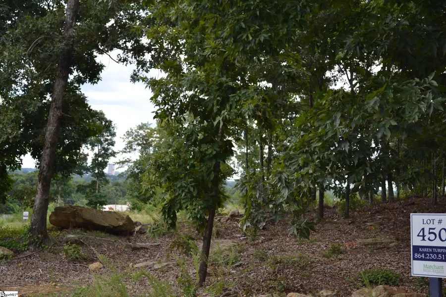 816 Montebello Drive #Lot 450, Greenville, SC 29609 - #2