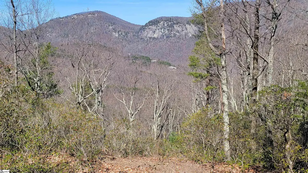 107 Roundtop Lane, Landrum, SC 29356 - #1