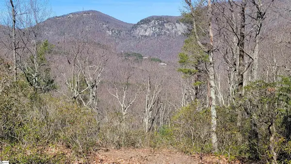 107 Roundtop Lane, Landrum, SC 29356