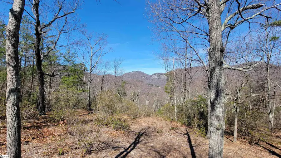 107 Roundtop Lane, Landrum, SC 29356 - #3
