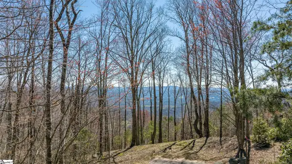 16 Lost Trail Drive, Landrum, SC 29356