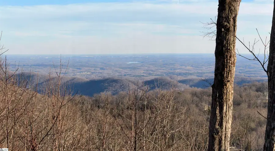 260 Bella Vista Court, Zirconia, NC 28790 - #2