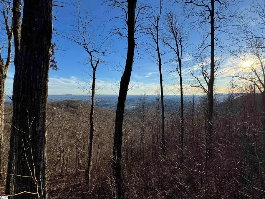 260 Bella Vista Court, Zirconia, NC 28790 - #3