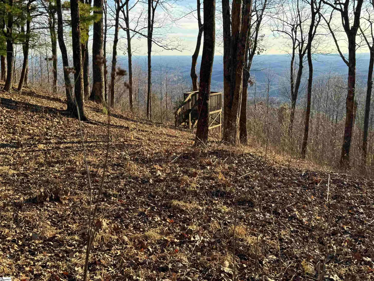 246 Bella Vista Court, Zirconia, NC 28790 - #1