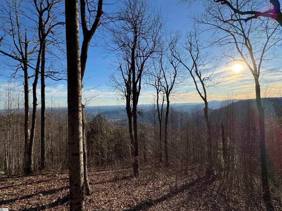 246 Bella Vista Court, Zirconia, NC 28790 - #2