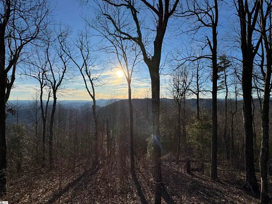 246 Bella Vista Court, Zirconia, NC 28790 - #3