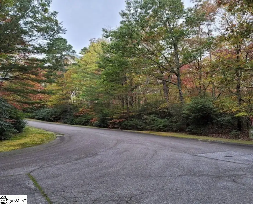 3 Larkspur Lane, Cleveland, SC 29635 - #1