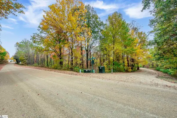 00 May Apple Way, Landrum, SC 29356